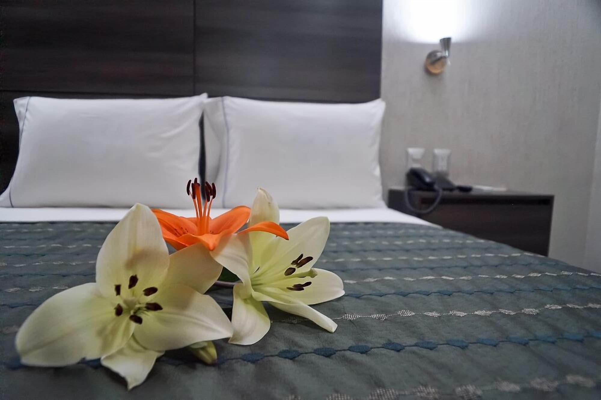 Hotel Expo Abastos Guadalajara Luaran gambar
